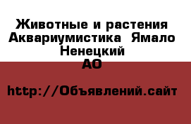 Животные и растения Аквариумистика. Ямало-Ненецкий АО